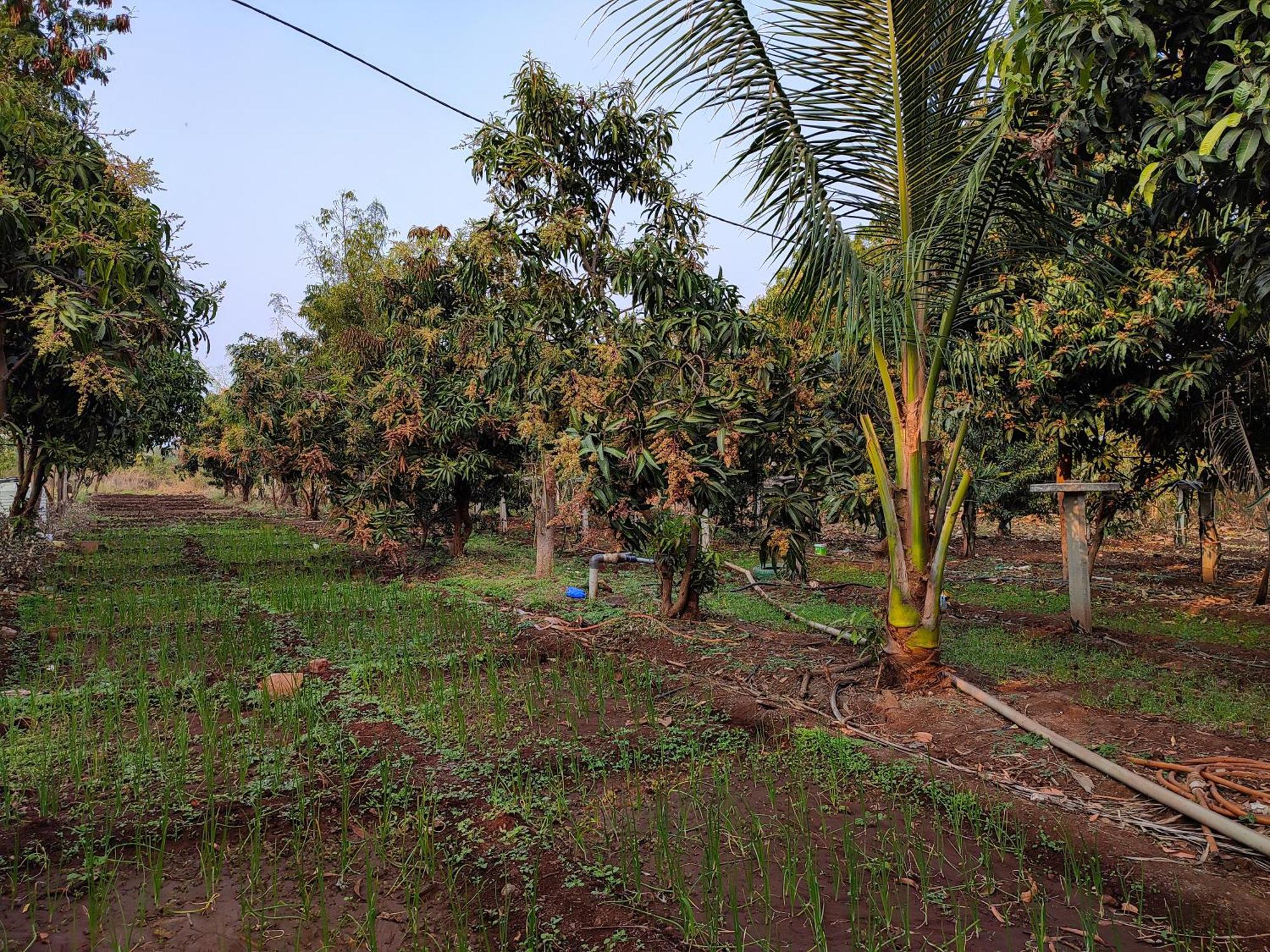 Van Vagdo Resort Rajpipla Buitenkant foto