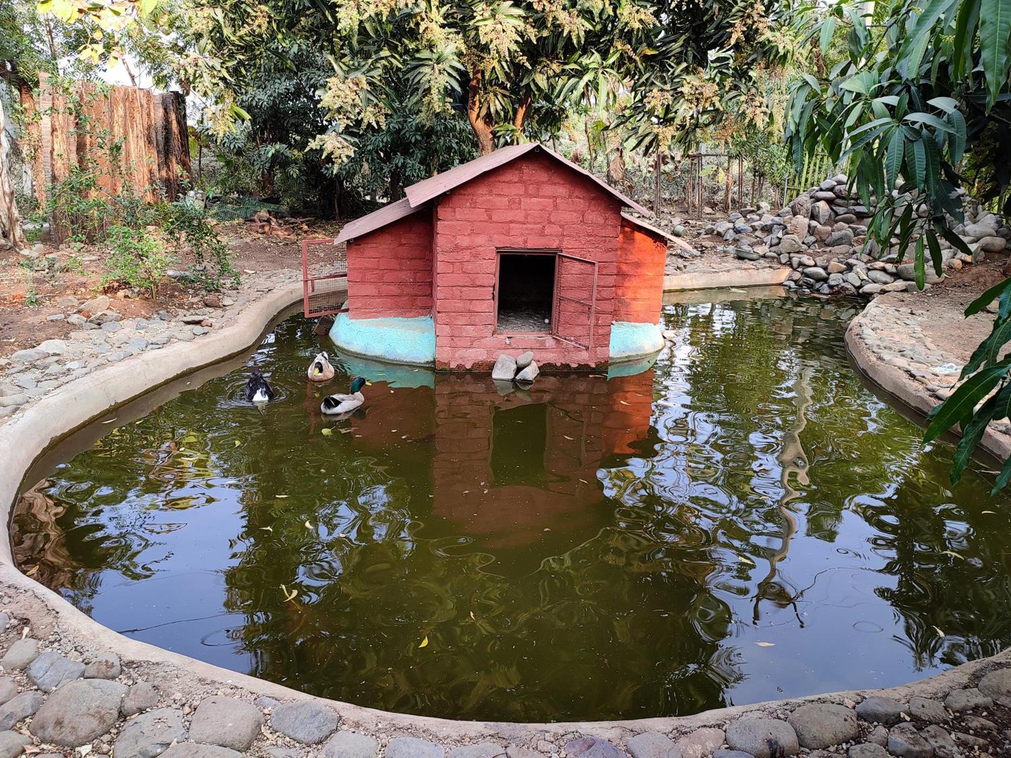 Van Vagdo Resort Rajpipla Buitenkant foto
