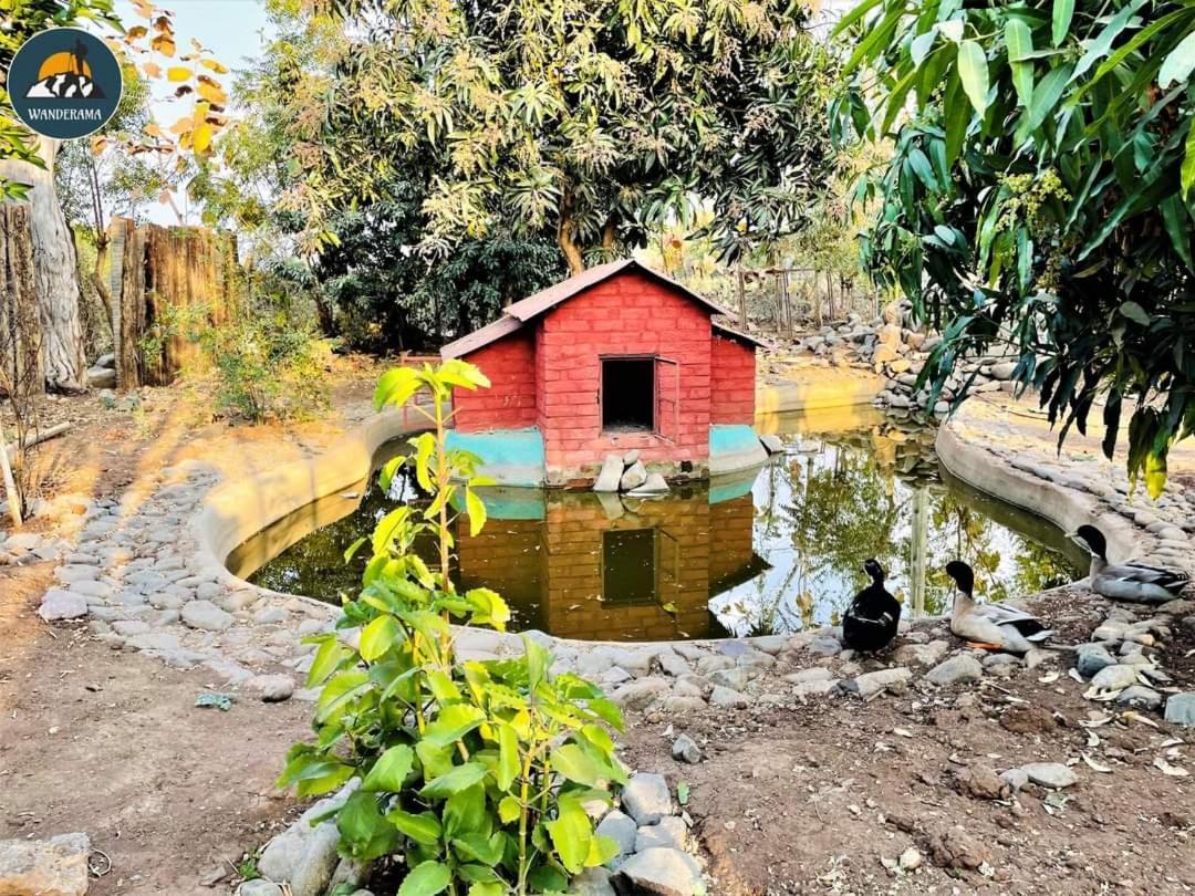 Van Vagdo Resort Rajpipla Buitenkant foto